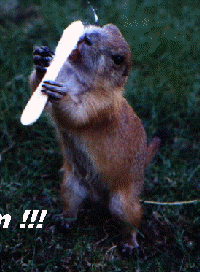 wpe1.gif (36657 octets)