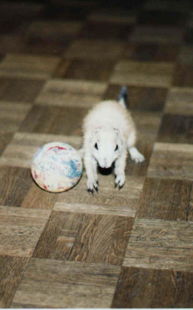 Oscar et le foot